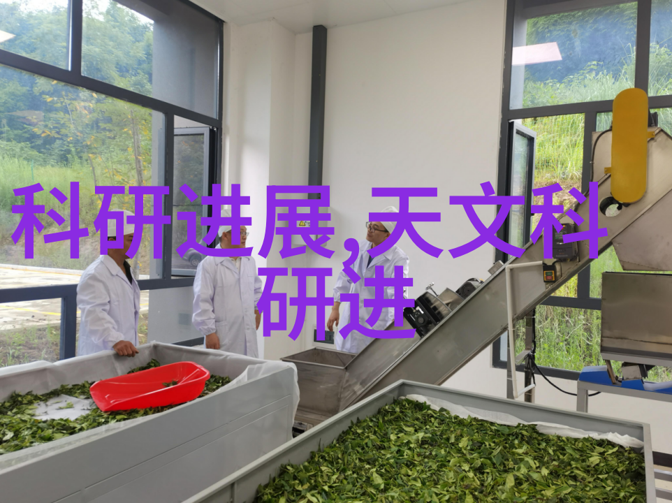 铸就安全铁艺护栏的艺术与实用