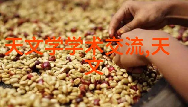 丝网填料与陶瓷填料的区别工业应用与艺术造型