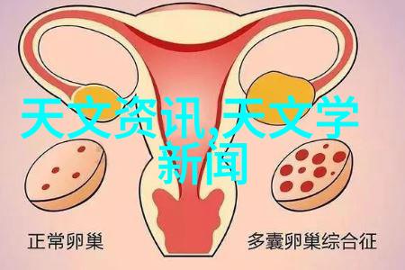 华联股份与新浪合作打造数字化零售新模式