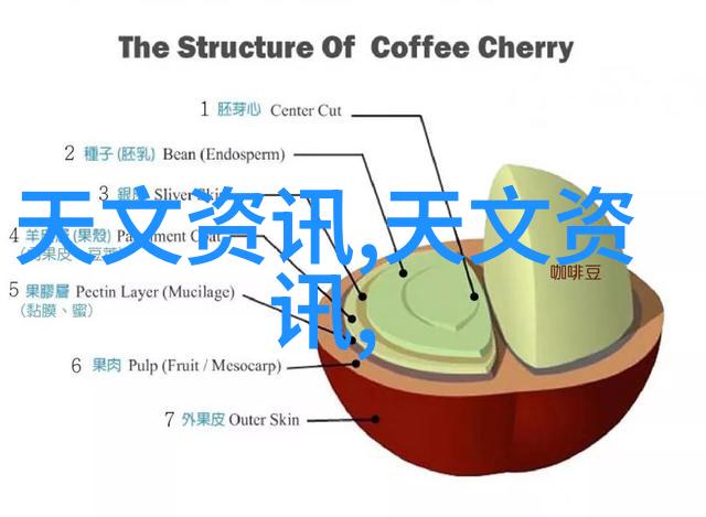 电子产品的兴起与我们的生活变化