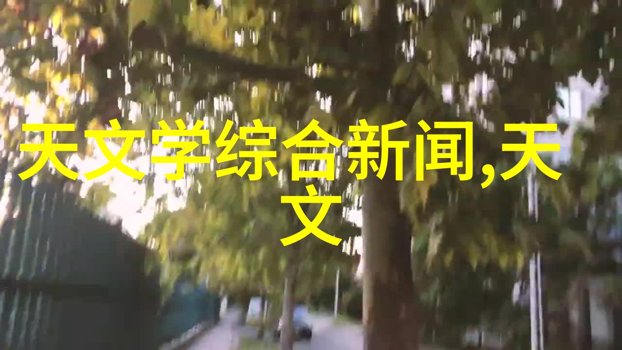 案由探究揭开法律诉讼背后的真相