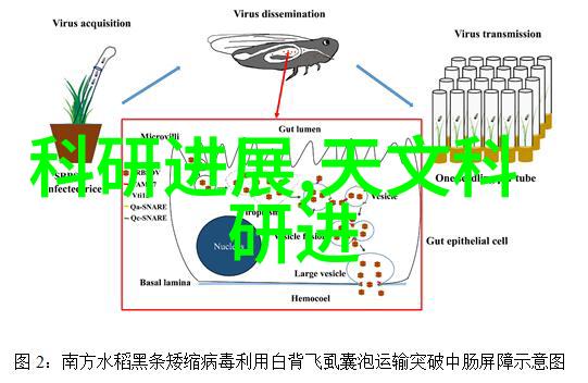 摄影灯光器材大全揭秘拍照之美的光影世界