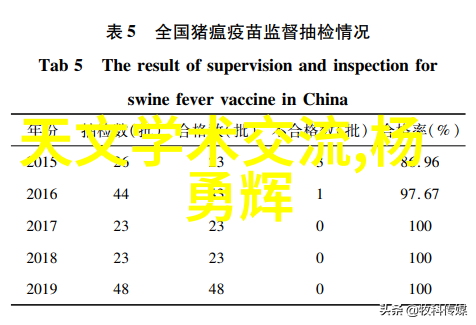 新疆美景匠心乌鲁木齐装修公司的艺术探索