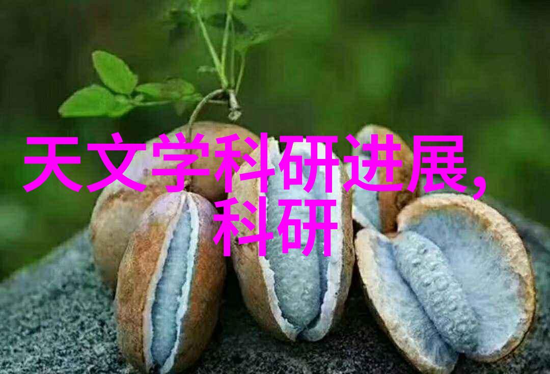 什么是新中式装修的核心设计理念