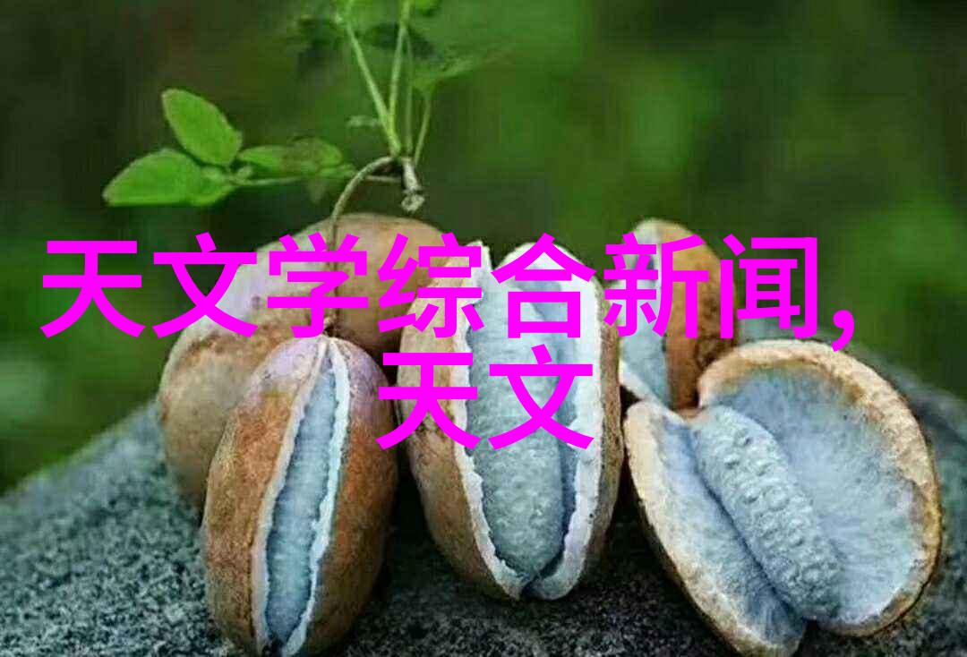 探索佳能D60的革命性影像技术如何让你的摄影作品焕发新生