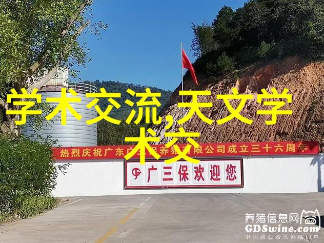 从基层到顶部我在建筑工程实习的成长轨迹