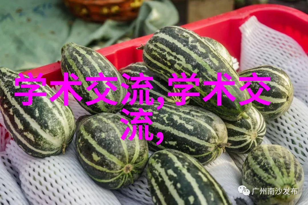 废气冷凝器俺的家用小霸王