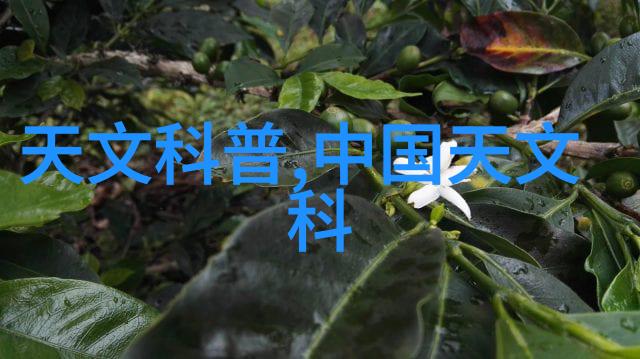 规整材料管理提高工地运输效率的秘诀