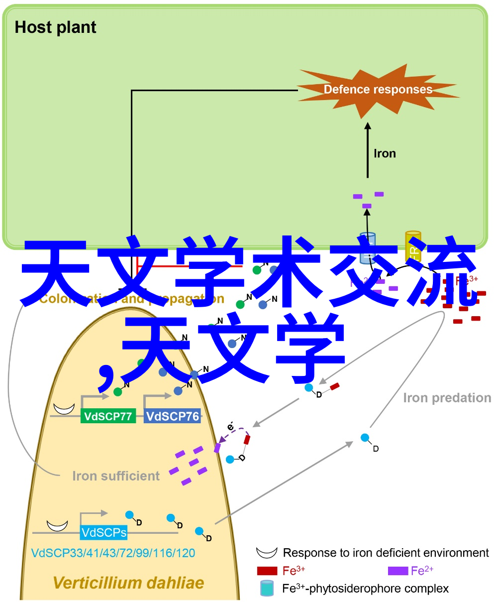 逆电从零到英雄的无源之旅