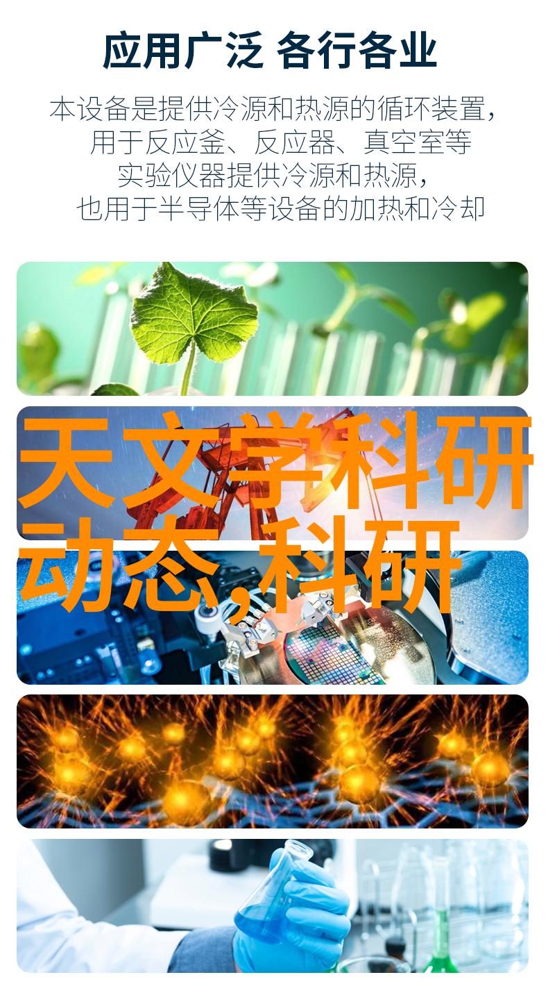 镜头下的艺术捕捉瞬间的完美之作