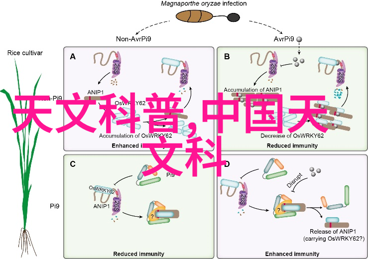 摄影器材全集图解探索现代拍摄技术的视觉指南