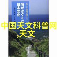 空调遥控器万能机制的应用与挑战从智能家居到能源管理的新纪元