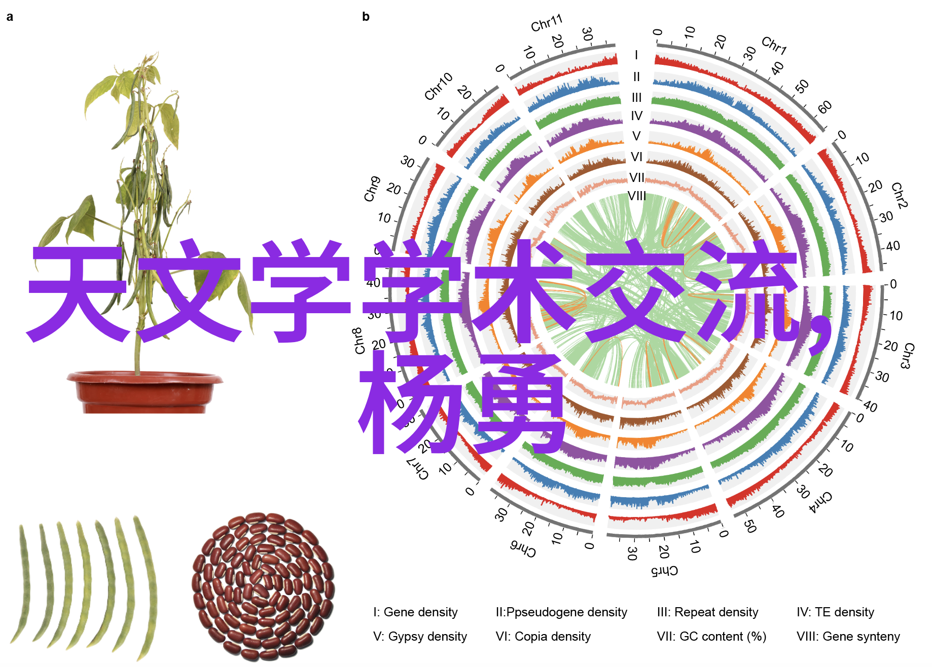 坐在学长的大东西上做作业-椅子上的知识传承学长的座位与我的学习