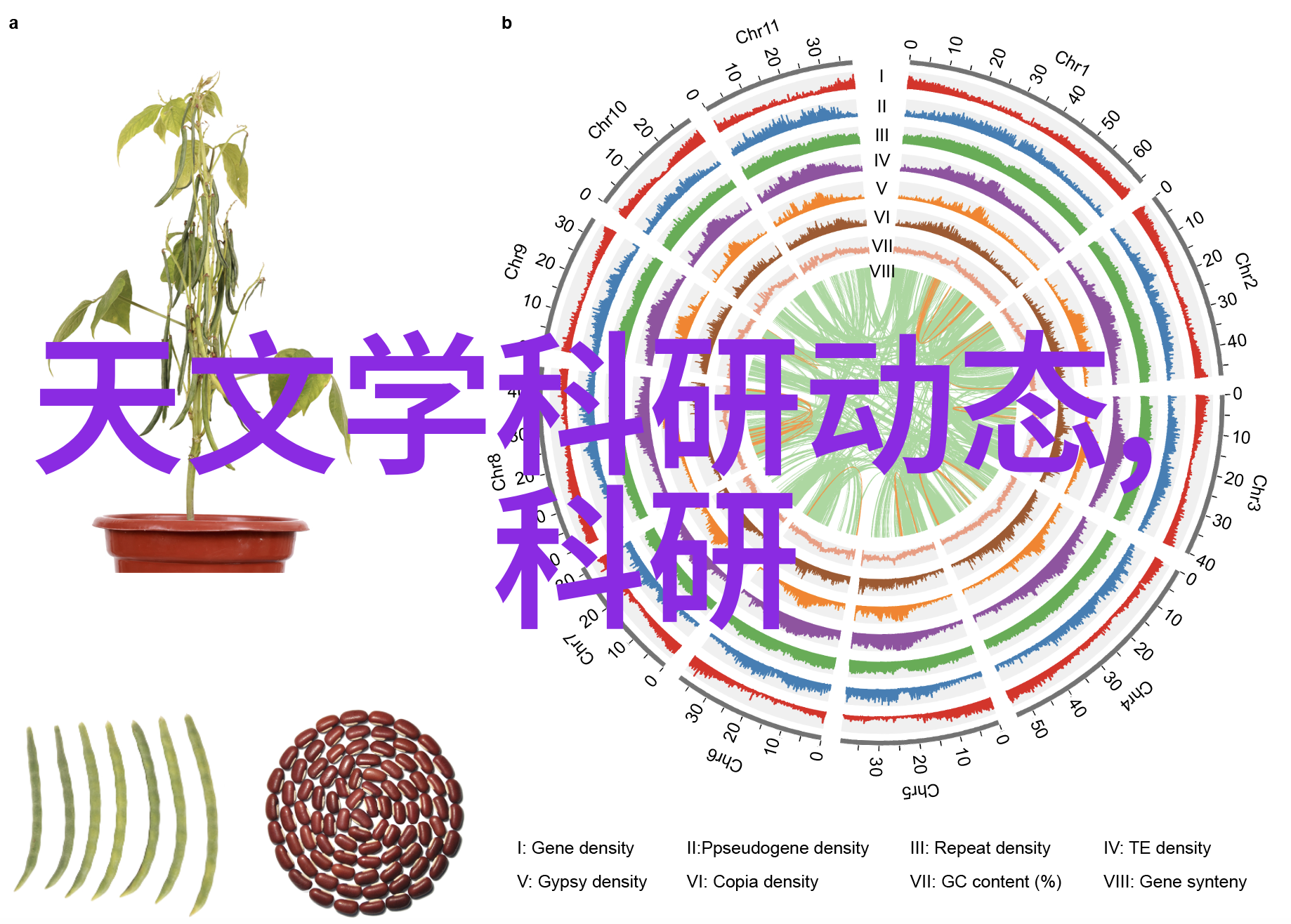 规整填料生产线精准制造的艺术与科技