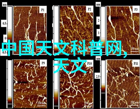 世界新闻镜头聚焦人类故事的光影之旅