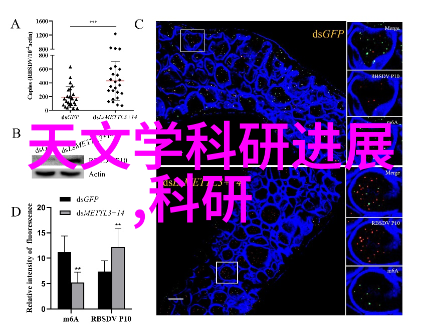 r是什么意思啊背后的文化象征