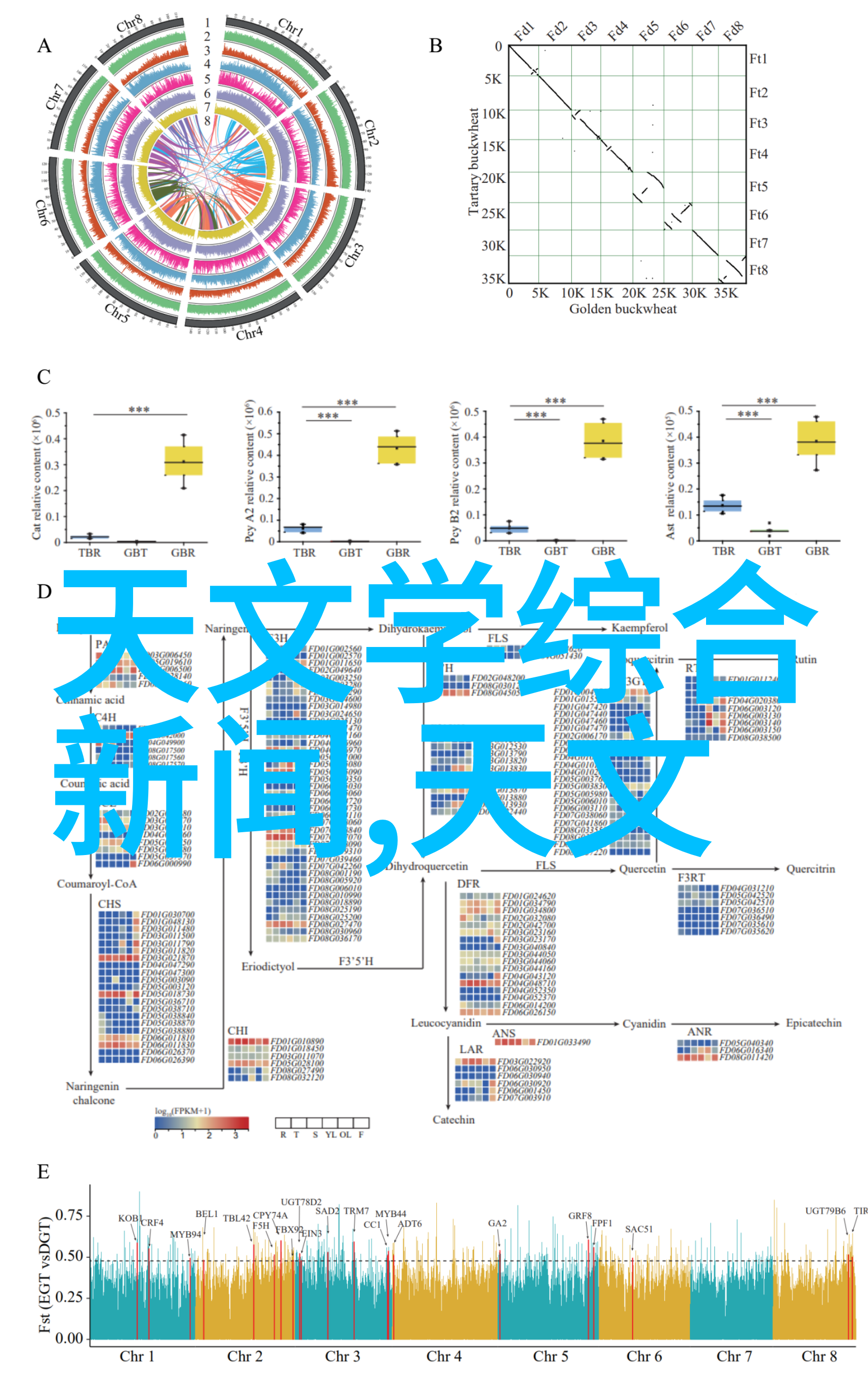 什么是合理的庭院照明方案并且如何实施