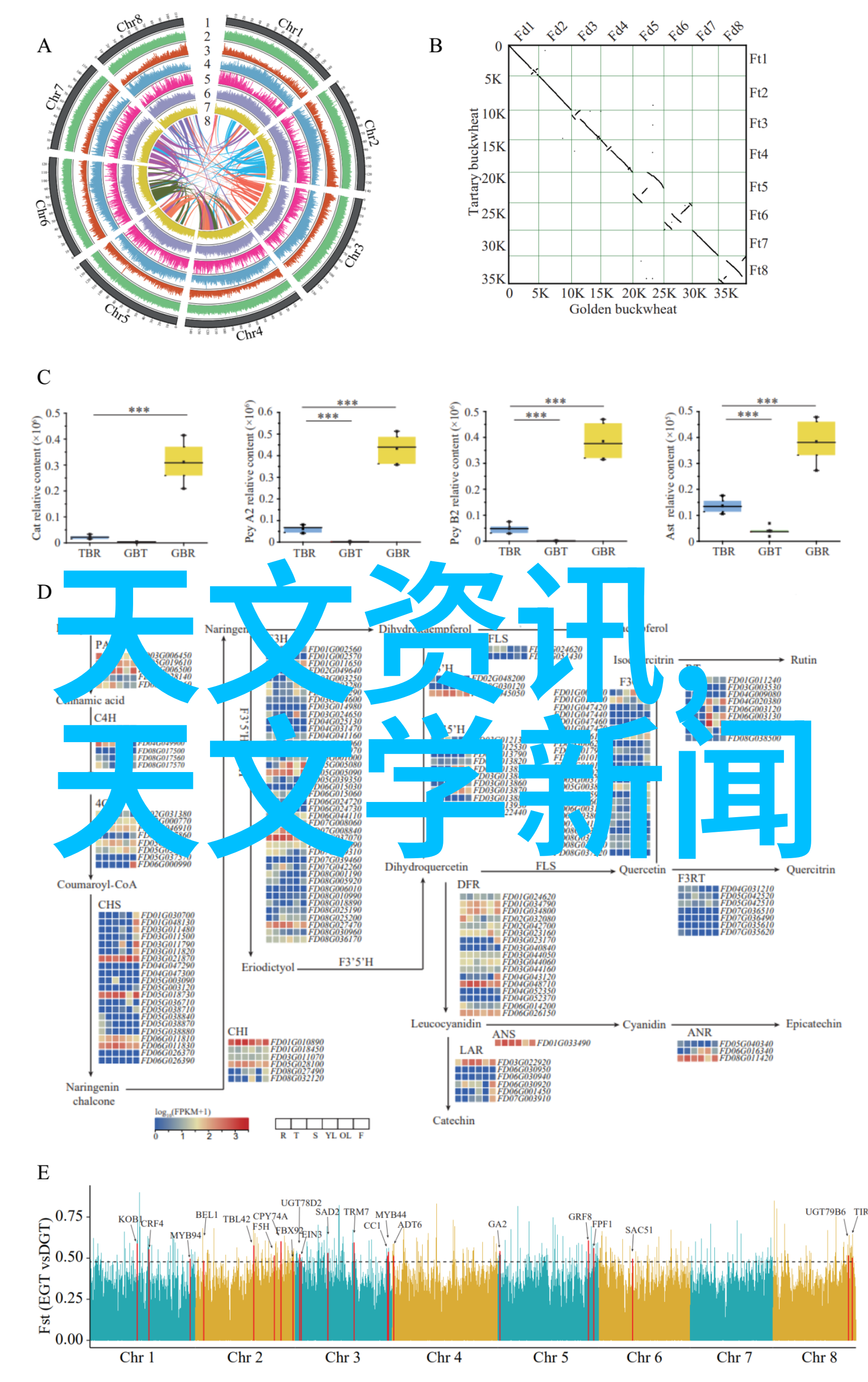 东莞粉丝块包装