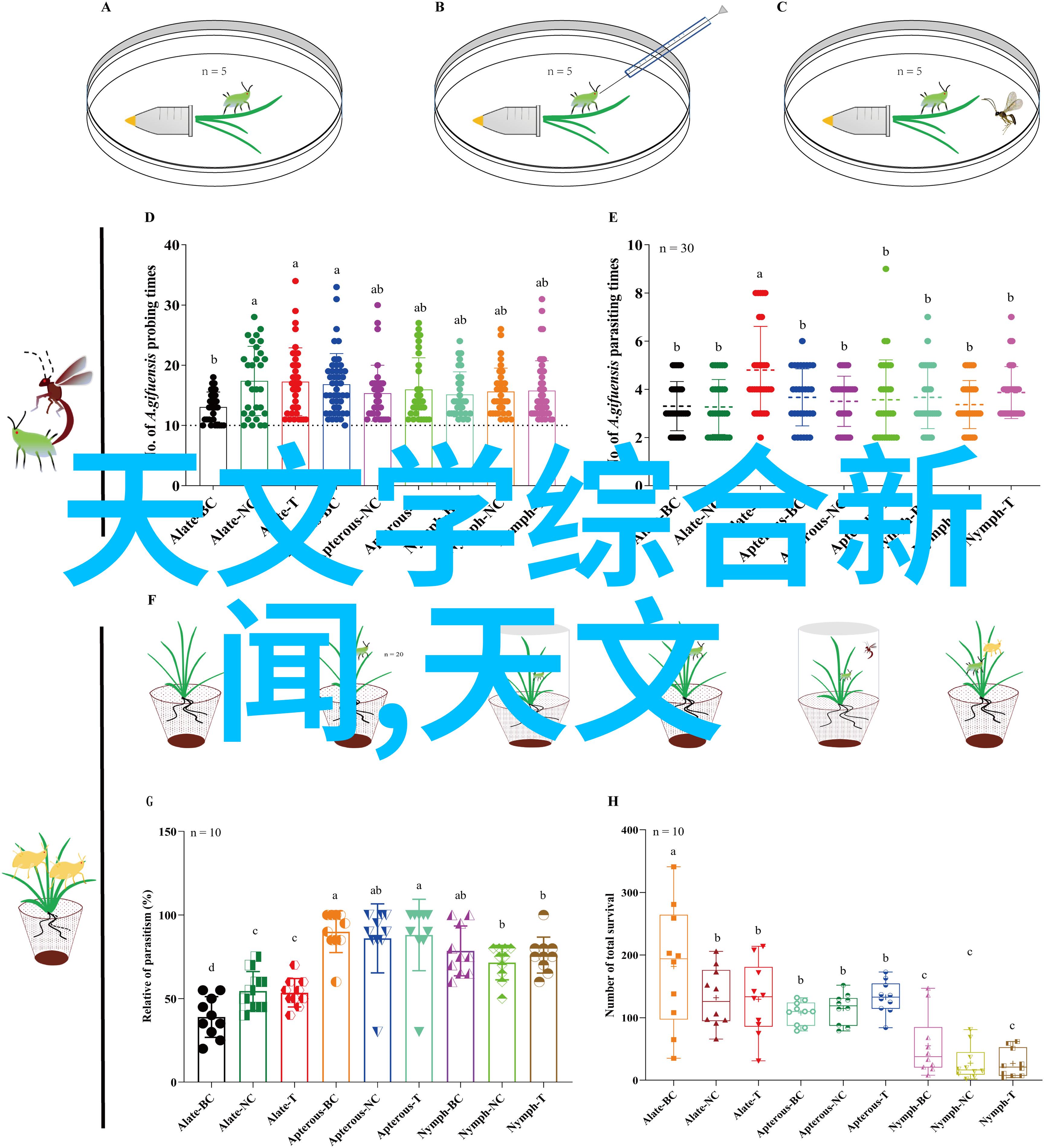 全自动包装机我是如何用一台机器让零件变得整齐有序的