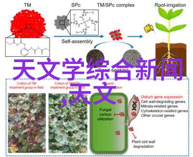 风生水起共创新局研华工控机选型引领社会潮流