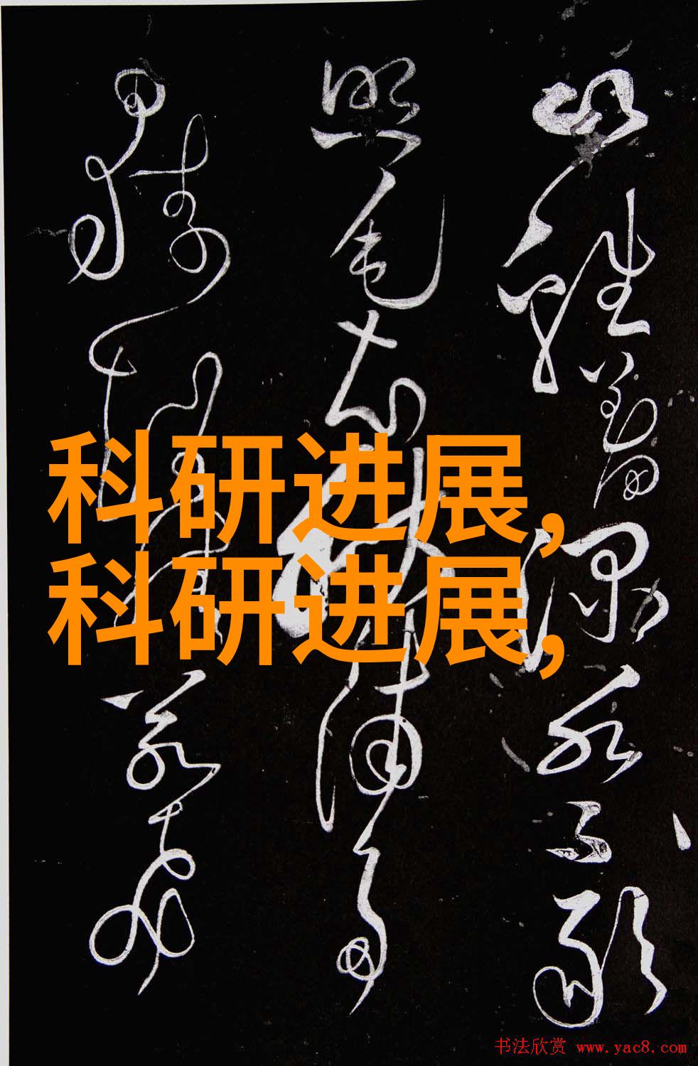 探究中央财经大学的学术地位从985至211的征程