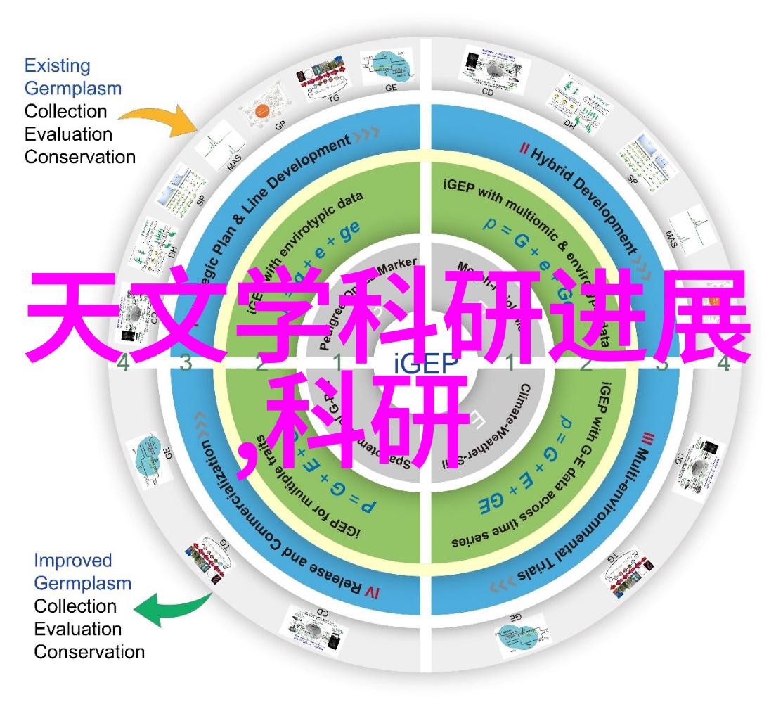 电影探秘我第一次上映的影院冒险