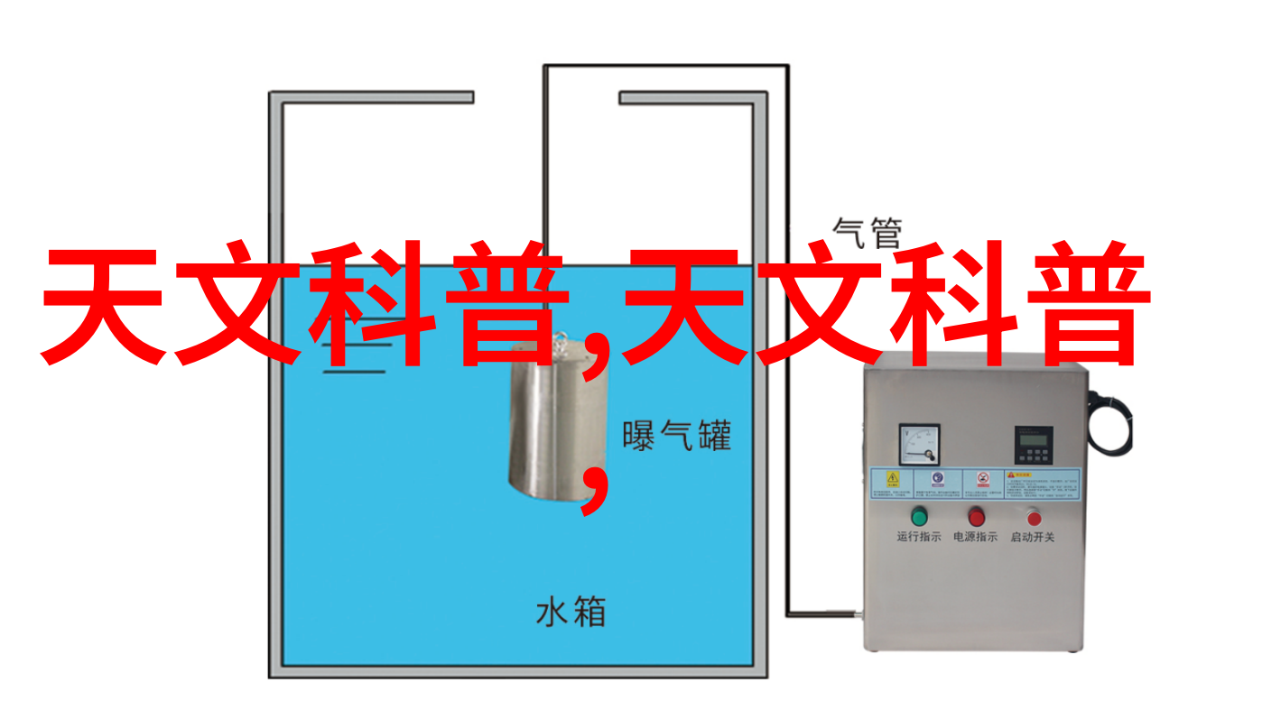 永不凋谢的记忆