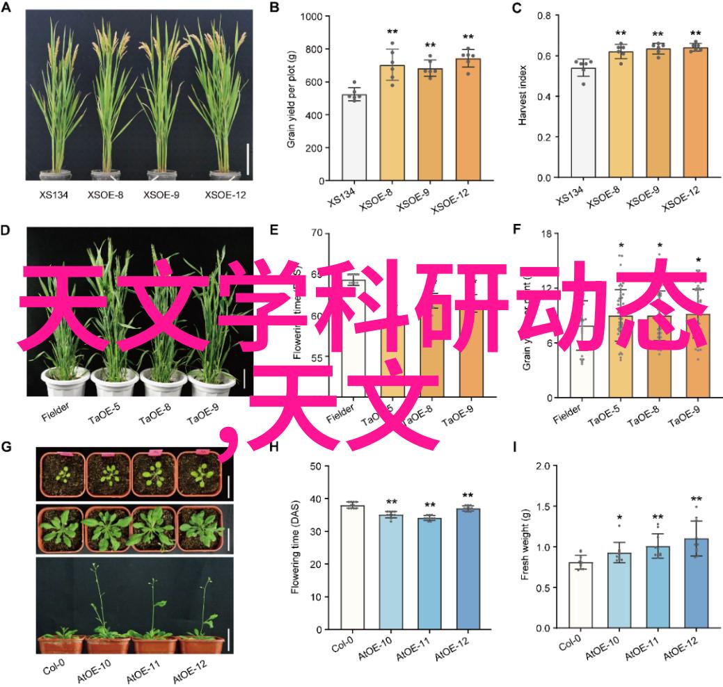 忽而今夏txt我是怎么在这热浪中找到夏日甜蜜的