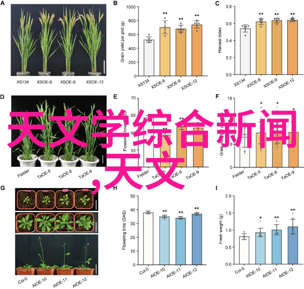 穿越虚拟现实传奇sf如何塑造现代英雄故事