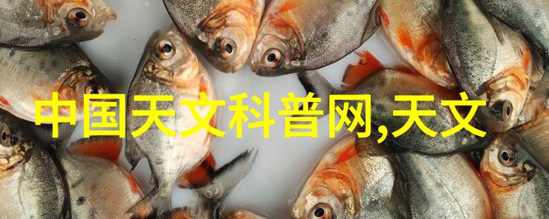 科研协会的权力究竟有多大剖析学术组织的影响力与责任