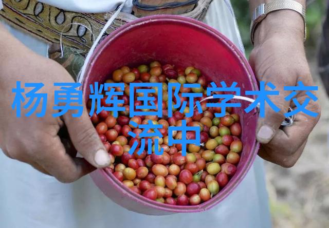 隐私保护-玩哭自己隐私的100种方法防范策略与实用技巧