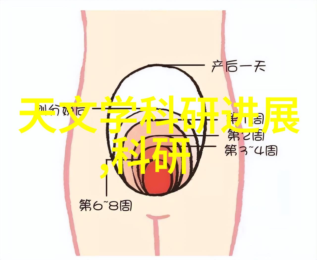 如何评估县城家庭对专业家电清洗服务的需求程度