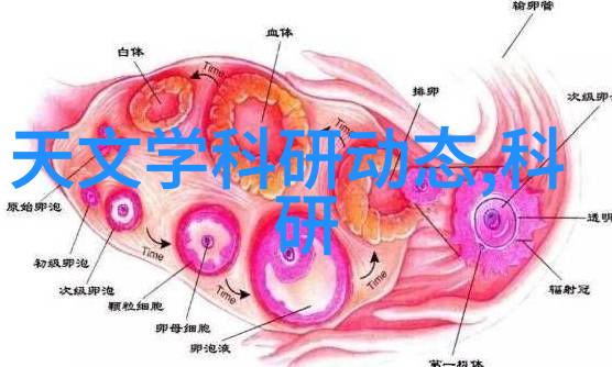 高效节能的秘诀bx500环境友好型填料选项及配比原则