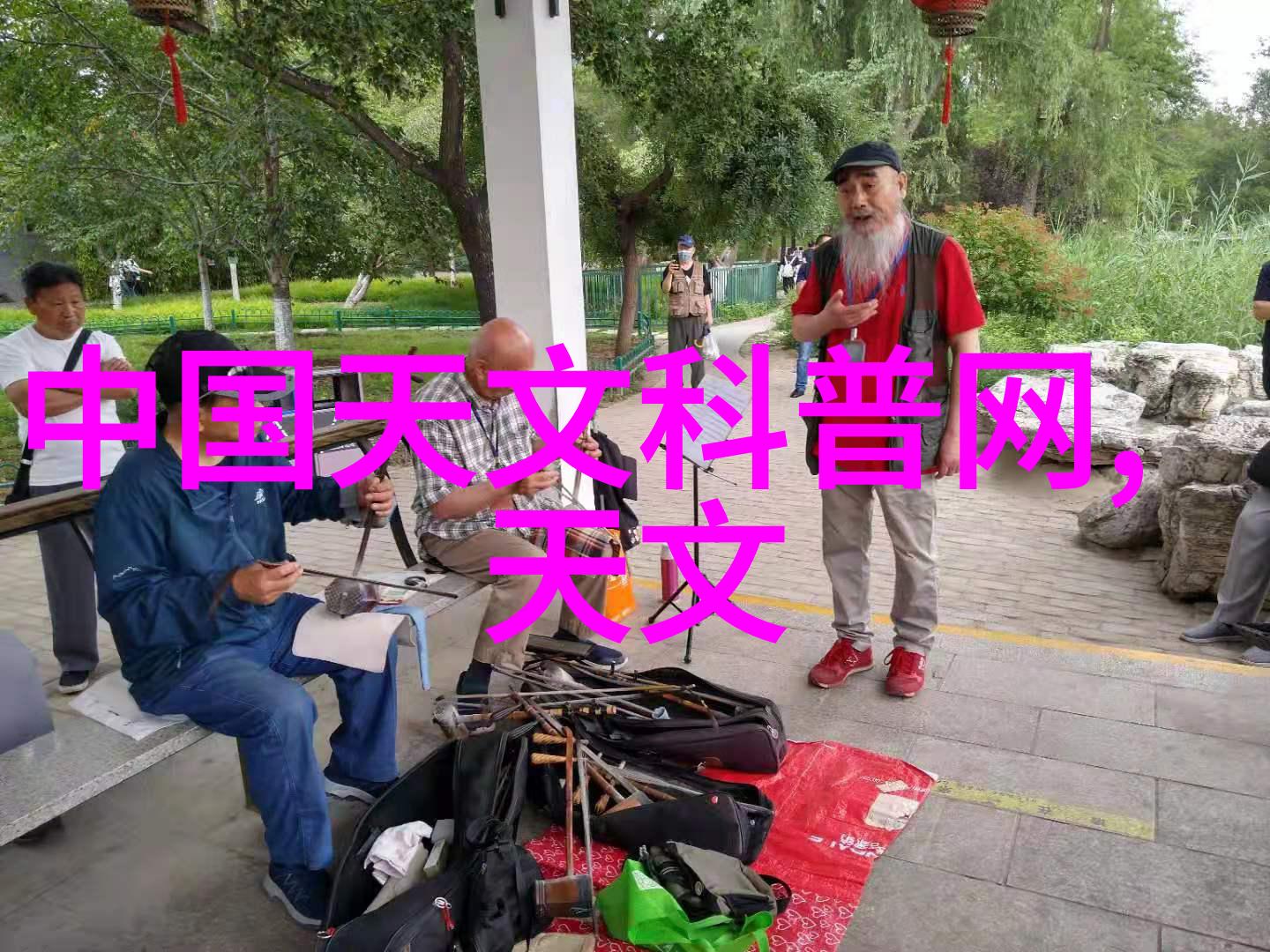 蓝桉花语传递深情的守护与承诺