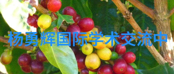 探索化学实验中最关键的问题之一怎样为您的 500 L 搪铸反应锤子挑选理想的混合度量单位