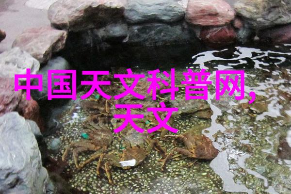 诗经 采薇我和采薇的故事诗经中的夏日追忆