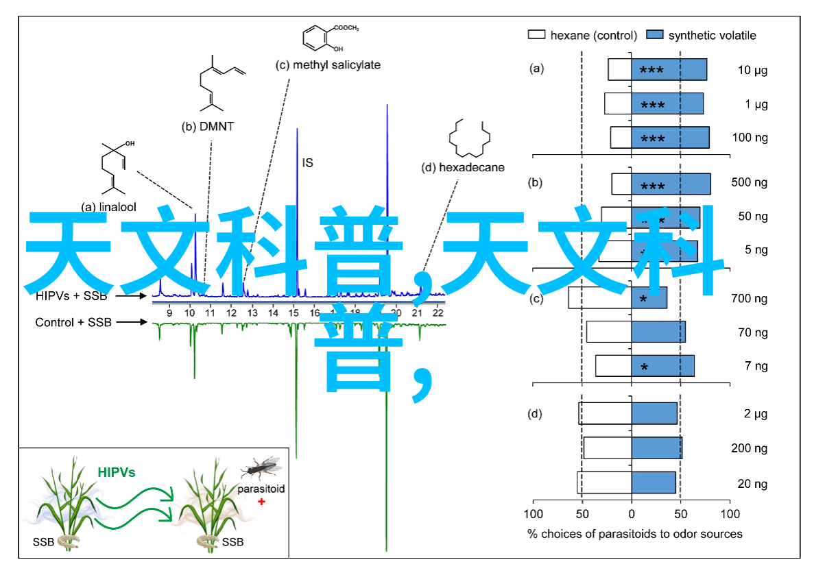 墙砖的艺术与实用