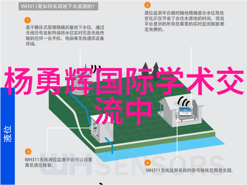 中国存储芯片巨头领航者与创新者