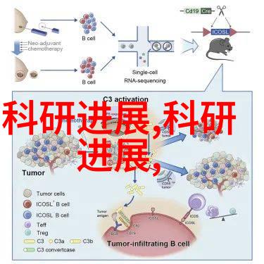 智能手机新时代如何打造用户体验的未来之星