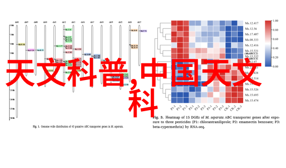 单职业传奇探秘何以成就