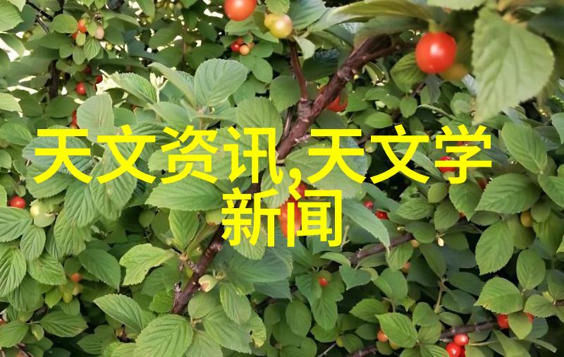 市场监督管理局官网揭秘黑幕背后的数字足迹