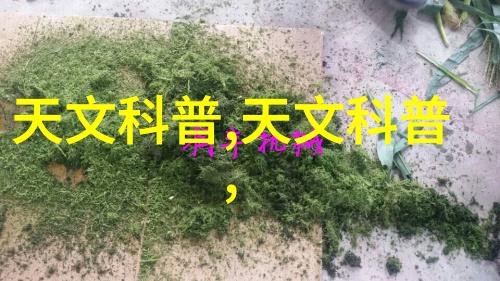 文化交融中的植物符号跨国界的情感交流途径