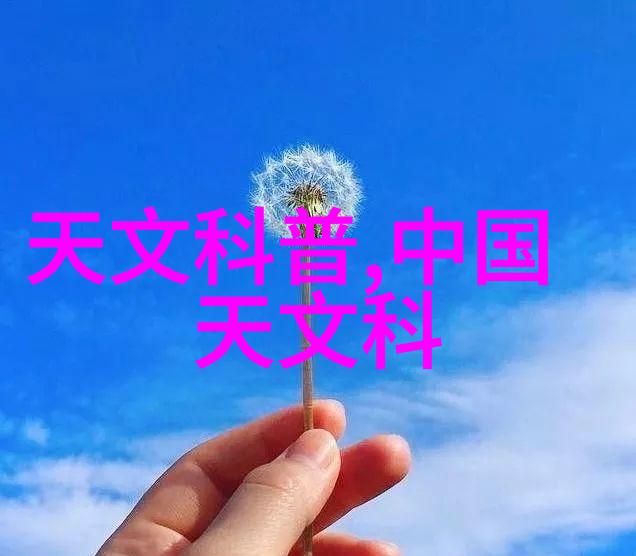 家园工坊创意与效率的双刃剑