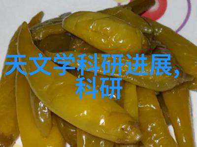 教师李茹与公第一章教育领域的新篇章