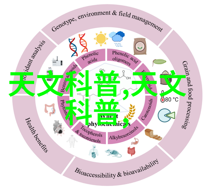 化工管件应用与选择安全性耐腐蚀性能的关键考量