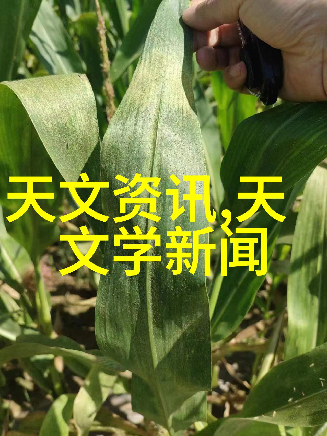 专业医疗器械精密诊断设备植入性医疗器械康复辅助工具