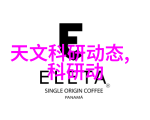 分级保护策略与组织文化相结合的最佳实践是什么