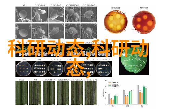 镜头下的革命分析第一部电影对艺术影响