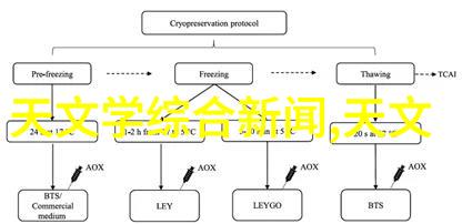 蜜汁炖鱿鱼全文番外海洋美食的诱惑