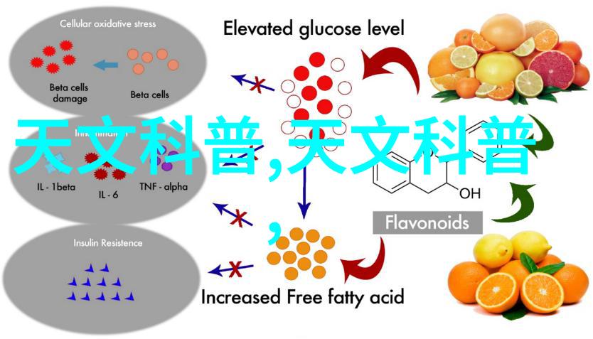 家居美学温馨雅致的无沙发客厅装修效果图